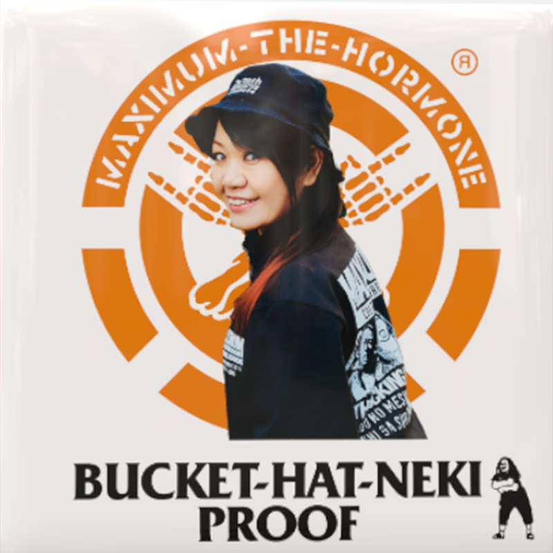 マキシマムザホルモン やーだょっ！ 限定 プルーフ PROOF マキシマムザ