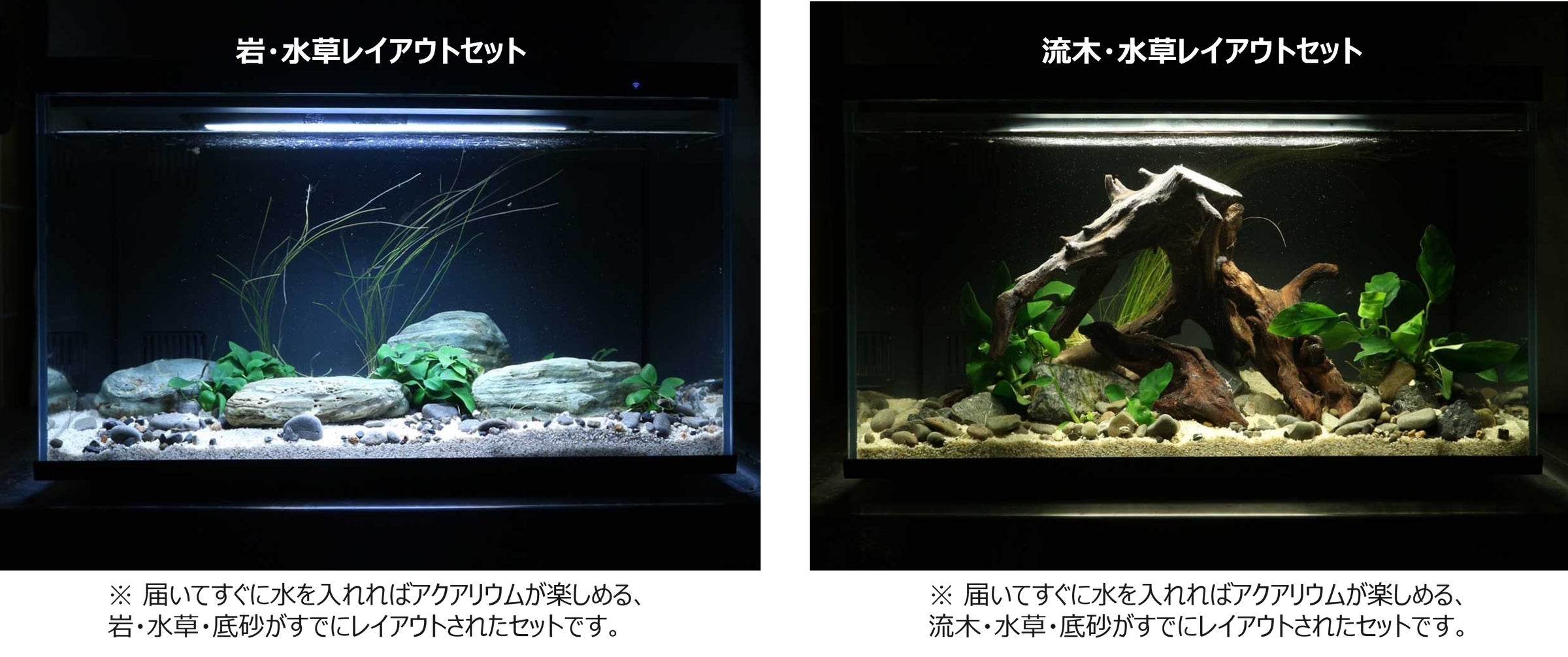 60cm水草水槽セット （水草後から） キャビネット付│ 水草水槽 60cm