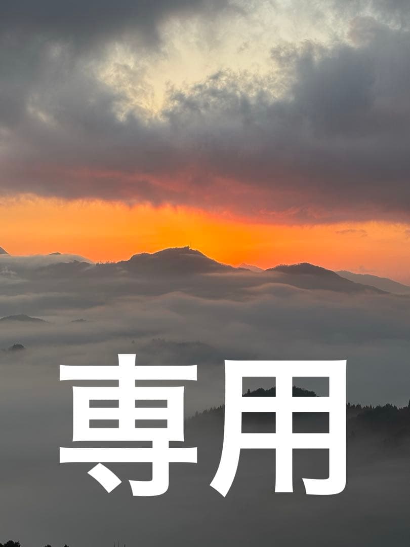 正規品　純正品　フィリップス　PHILIPS ソニッケアー　sonicare Philips（フィリップス） 電動歯ブラシ ソニッケアー プロテクト