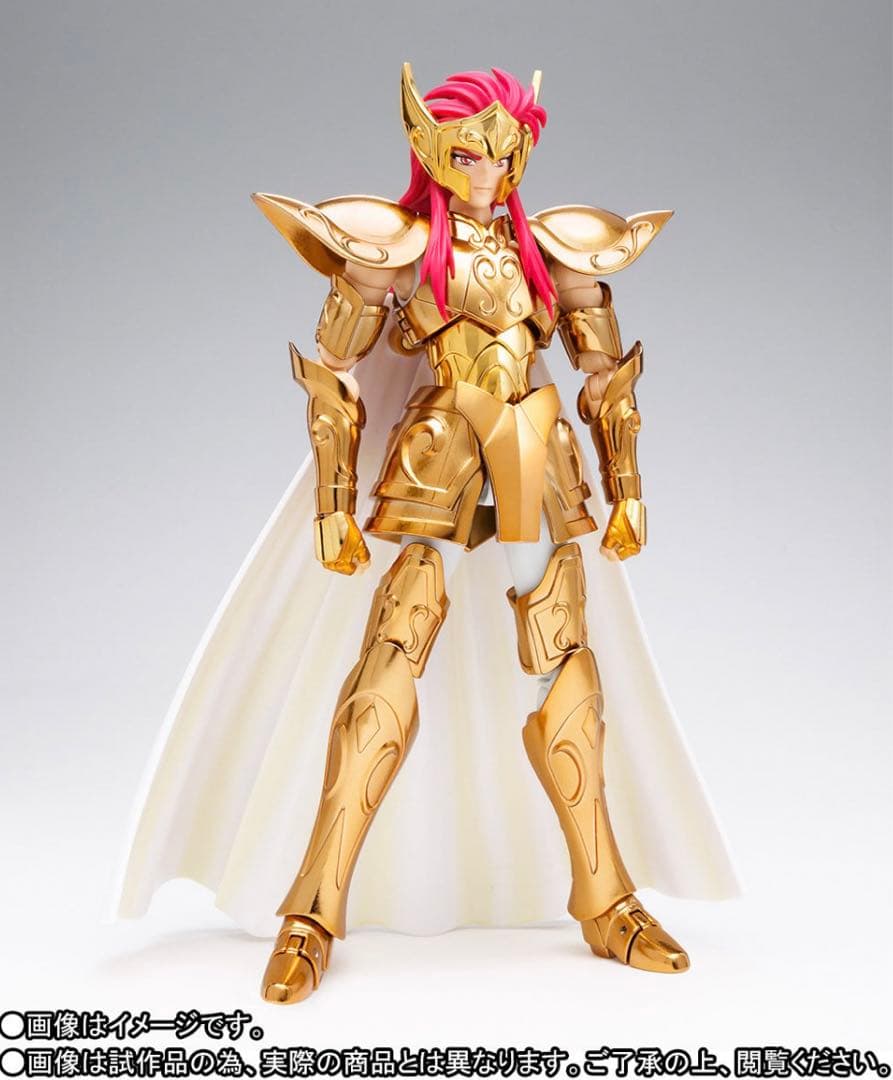 聖闘士聖衣神話EX アクエリアスとピスケスのOCE2体セット